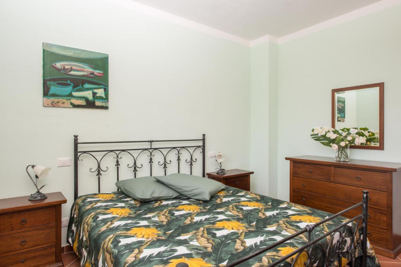 Tenuta Di Valmora Massa Marittima Dış mekan fotoğraf